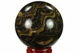 Polished Stromatolite (Greysonia) Sphere - Bolivia #134729-1